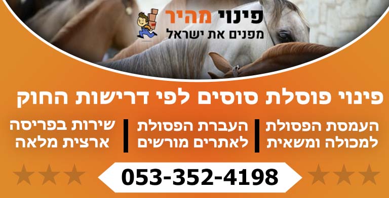 פינוי פסולת סוסים